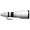 Sigma 300-600mm F4 DG OSS