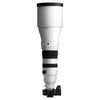 Sigma 300-600mm F4 DG OSS
