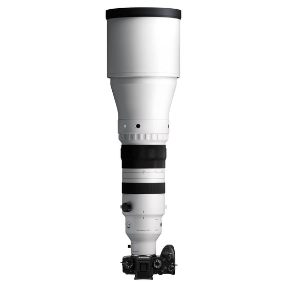 Sigma 300-600mm F4 DG OSS