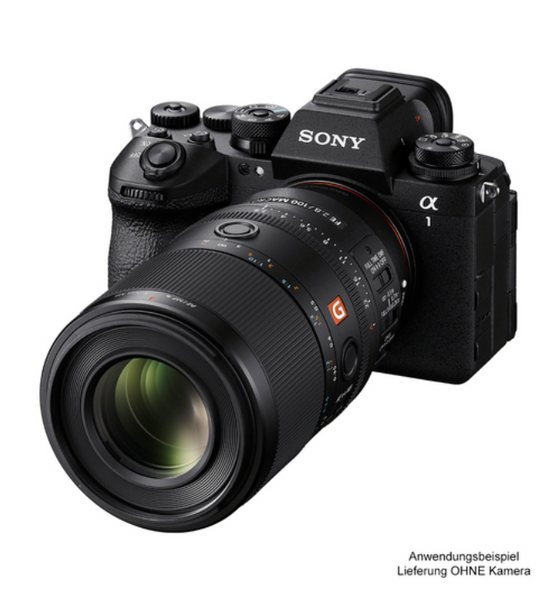 Sony SEL FE 2,8/100 mm GM OSS Objektiv Makro Objektiv