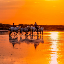 Zwischen Licht und Lavendel: Provence Afterwork Abend by Hannes König