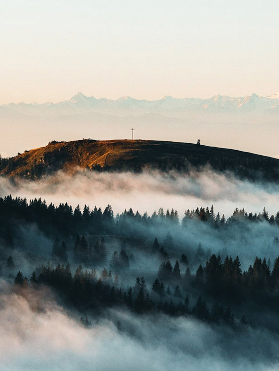 Goldener Oktober Fototour im Hochschwarzwald