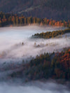 Goldener Oktober Fototour im Hochschwarzwald