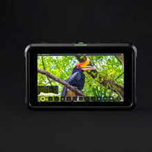  Atomos Shinobi HDMI 13,3 cm (5,2") Monitor