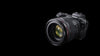 Canon EOS R Body + Adapter Canon EF auf Canon RF - Foto Franz GmbH