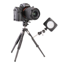  Leofoto MT-03 Mini-Stativ mit MTB-19 Kugelkopf - Foto Franz GmbH