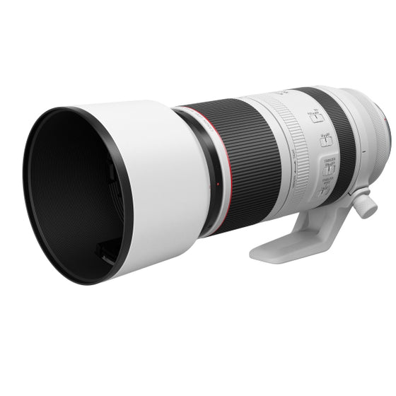 Canon RF 100-500mm F4.5-7.1L IS USM