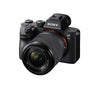 Sony Alpa 7 III (ILCE-7M3) + 28-70mm - Foto Franz GmbH