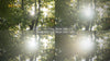 NiSi Allure Mist Black Diffusion – Zirkular Effektfilter (1/4 Blende)