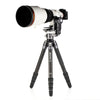 Benro GH2F Faltbarer Gimbal Kopf